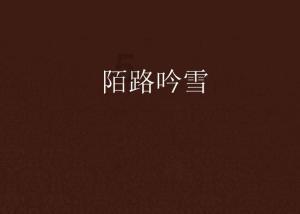 宏光半导体盘中异动 早盘大幅上涨5.88%